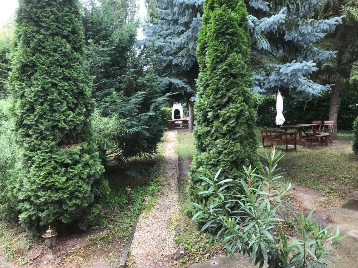 Platanus Vendeghaz Zamardi Bed & Breakfast ภายนอก รูปภาพ